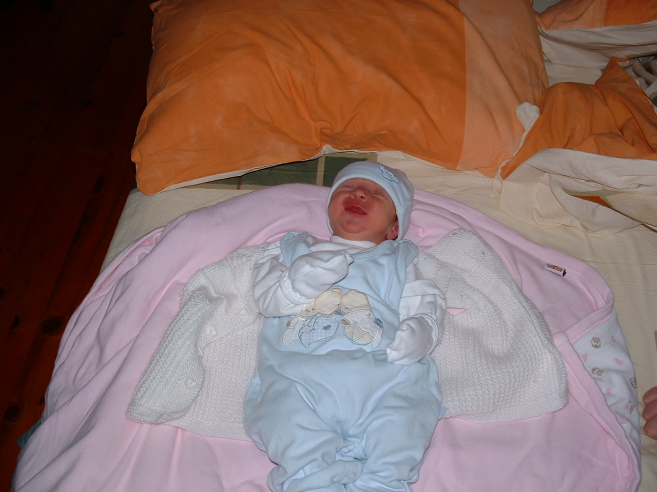 dscf0010.jpg