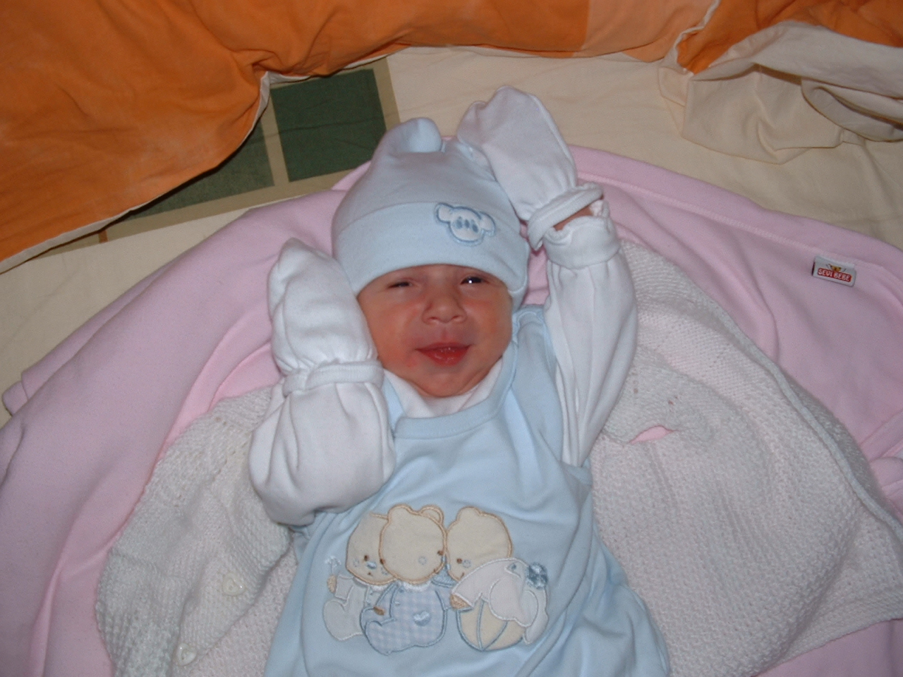 dscf00123.jpg