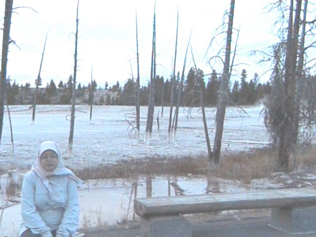 dvc00072.jpg