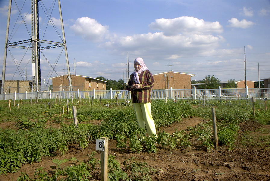 image015.jpg